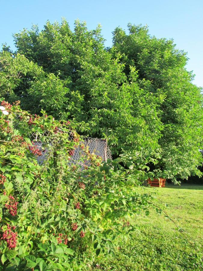 Bed and Breakfast Pod Orehi Postojna Exterior foto