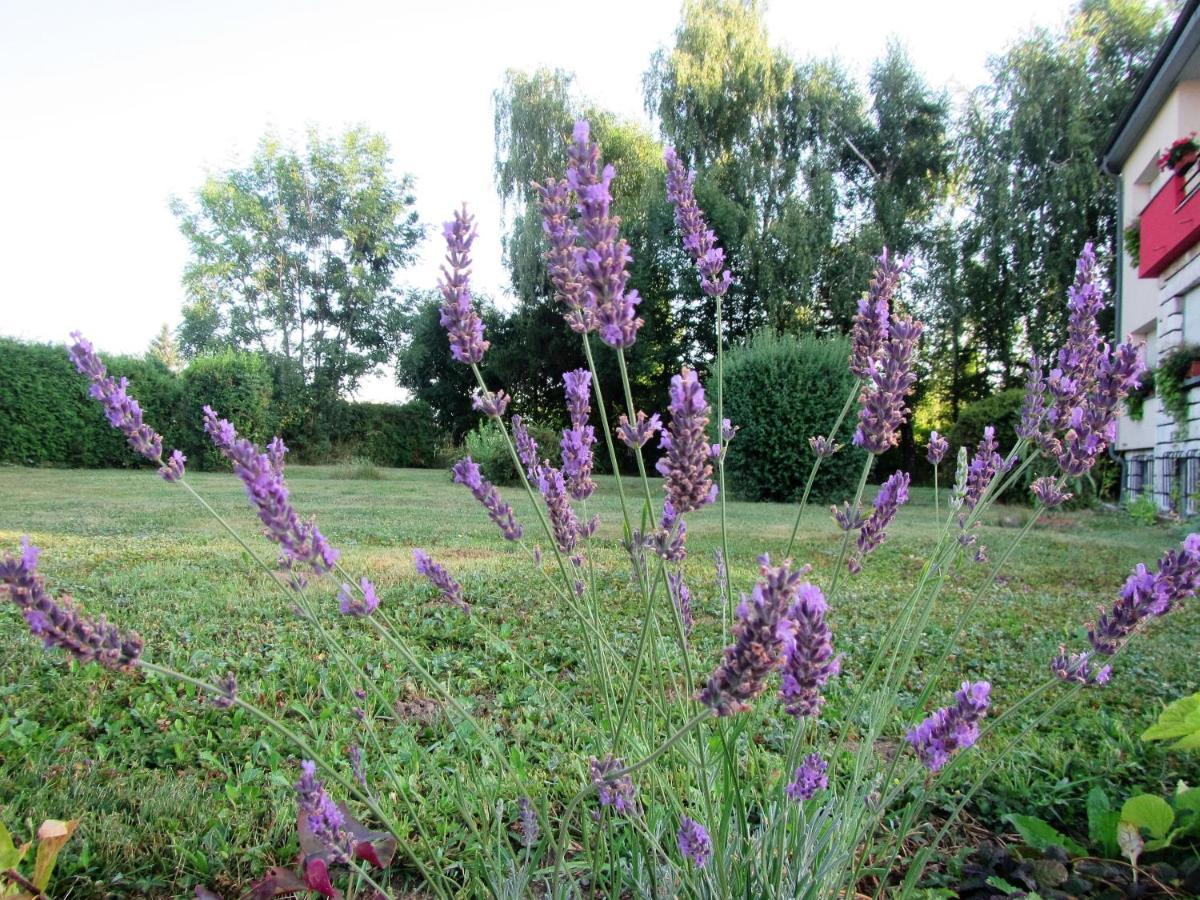 Bed and Breakfast Pod Orehi Postojna Exterior foto