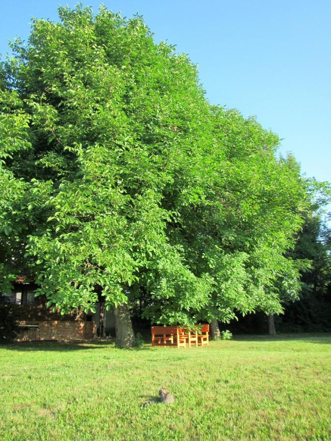 Bed and Breakfast Pod Orehi Postojna Exterior foto